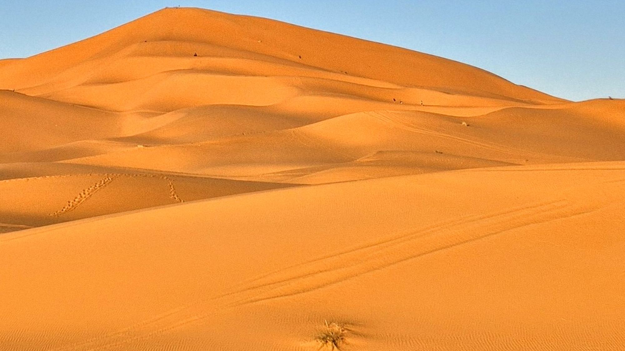 Erg Chebbi düünid
