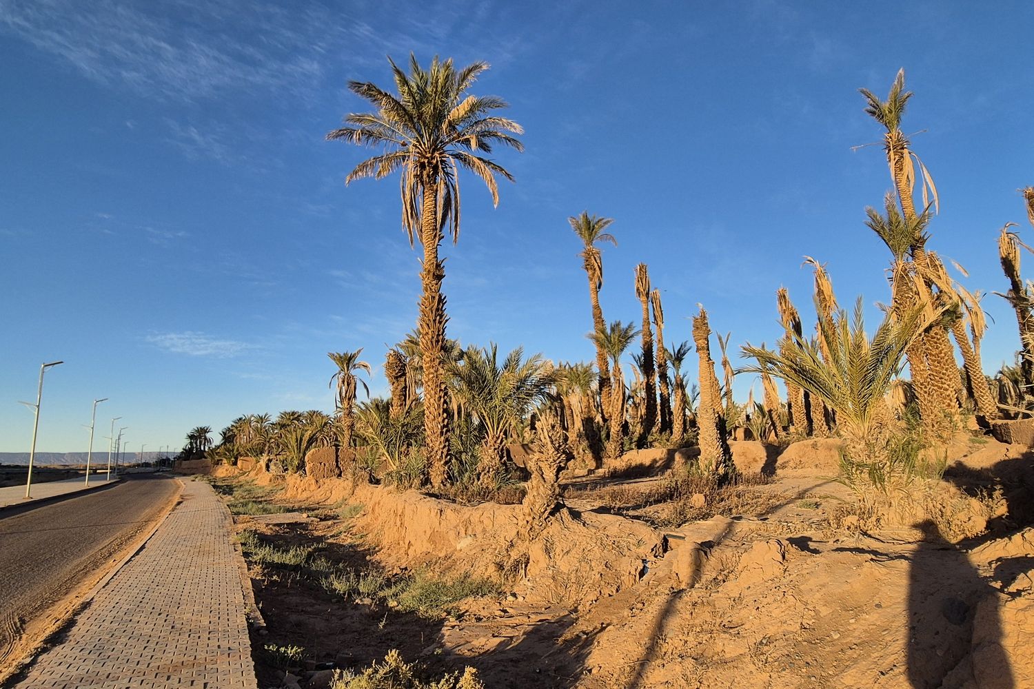 Draa org ja datlipalmide meri, Ouarzazate → Zagora